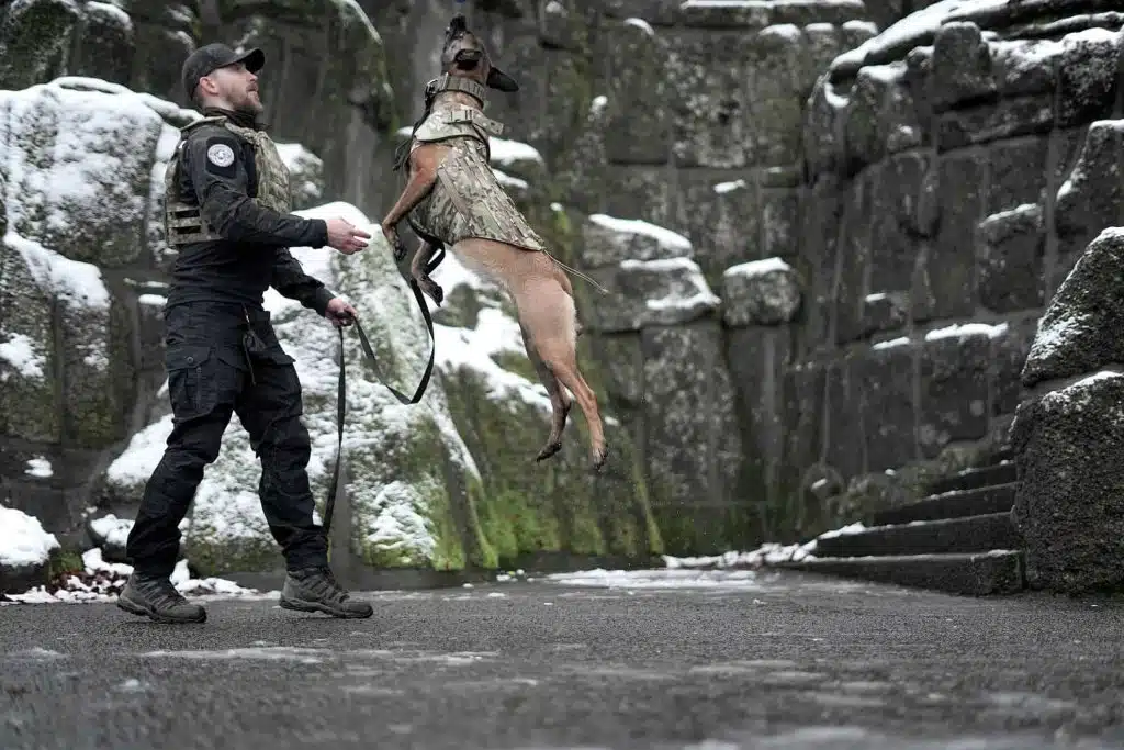 CBA™ Canine Body Armor